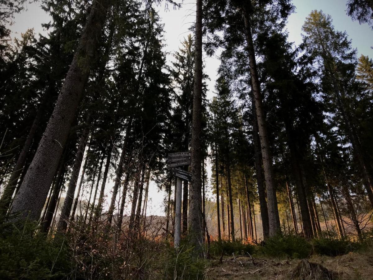 Hagerhaus * Winterberg
